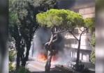 Ostia, cassonetti incendiati; Zaghis: &ldquo;Atti gravemente dannosi per l'ambiente e per la salute&rdquo;
